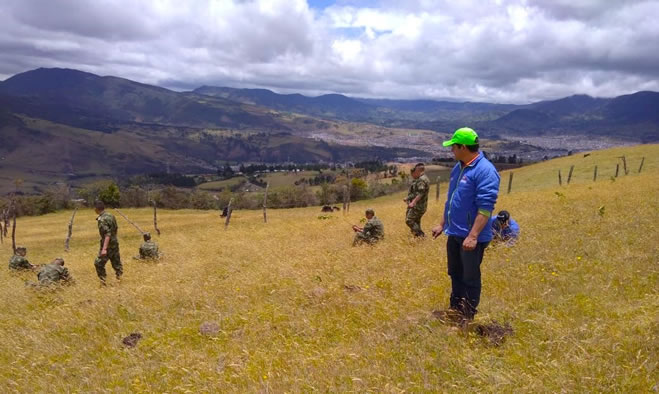 Un millón de árboles para la vida