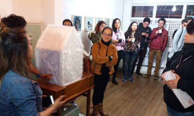 Imaginarios Solubles - Pasto 2019