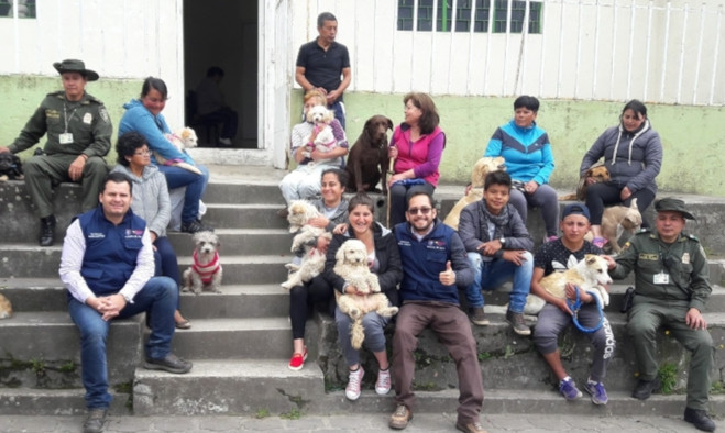 Política de protección animal - Pasto 2019