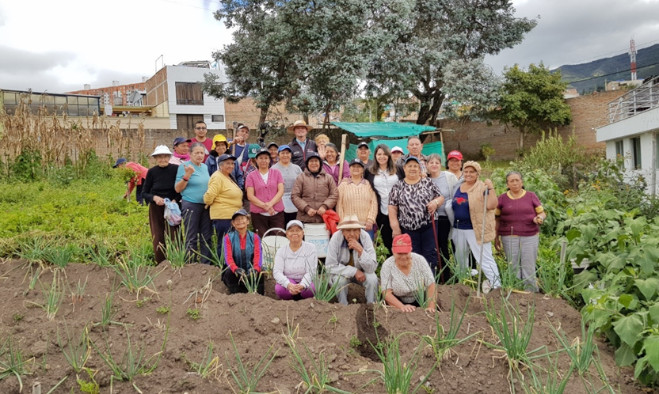 Huerta comunitaria
