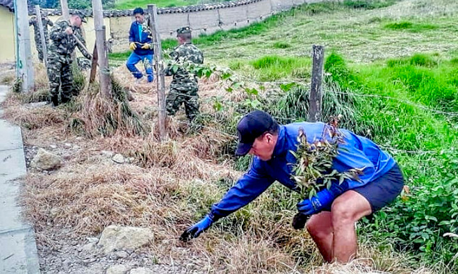 Jornada ambiental - 2019