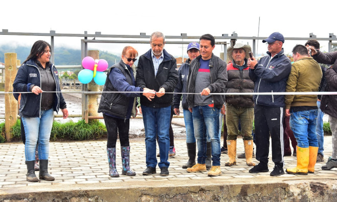 Plaza venta de ganado Jongovito - Pasto 2019