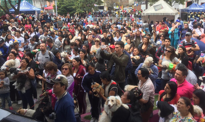 Bendición de las mascotas - Pasto 2019