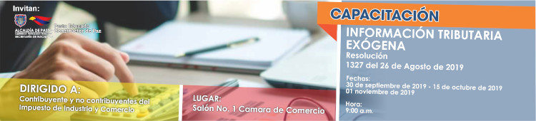 Capacitación información exógena - Pasto 2019