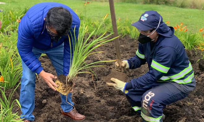 Estrategia de ornamentación y embellecimiento de áreas verdes